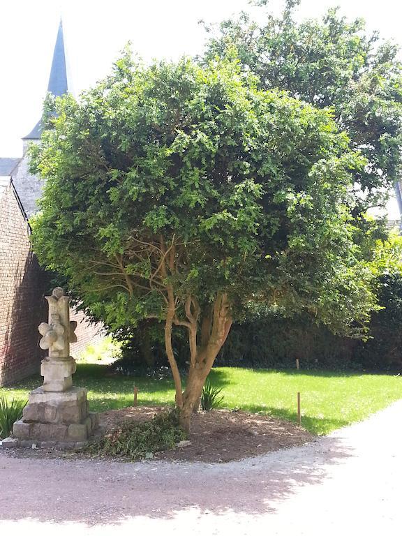 Les Loges D'Etretat Ξενοδοχείο Εξωτερικό φωτογραφία